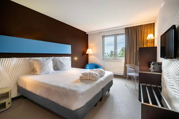 Hôtel pour 2 personnes, avec jardin, animaux acceptés à Horbourg-Wihr - 3