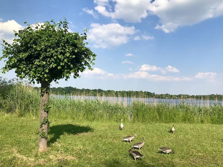 Ferienhaus für 2 Personen, mit Seeblick und Terrasse sowie Garten an der Müritz - 4
