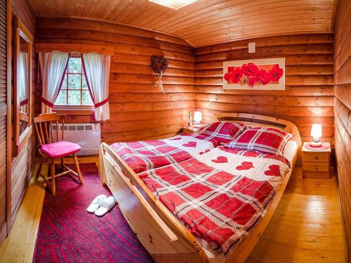 Ferienhaus für 8 Personen, mit Terrasse und Sauna sowie Balkon/Terrasse, mit Haustier in Willingen - 4