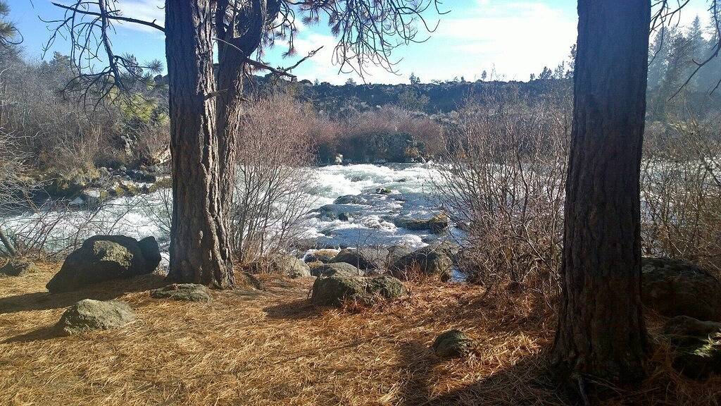 Ganze Wohnung, Over the trees view of a little bit of Heaven, from your comfy Condo. in Mt. Bachelor