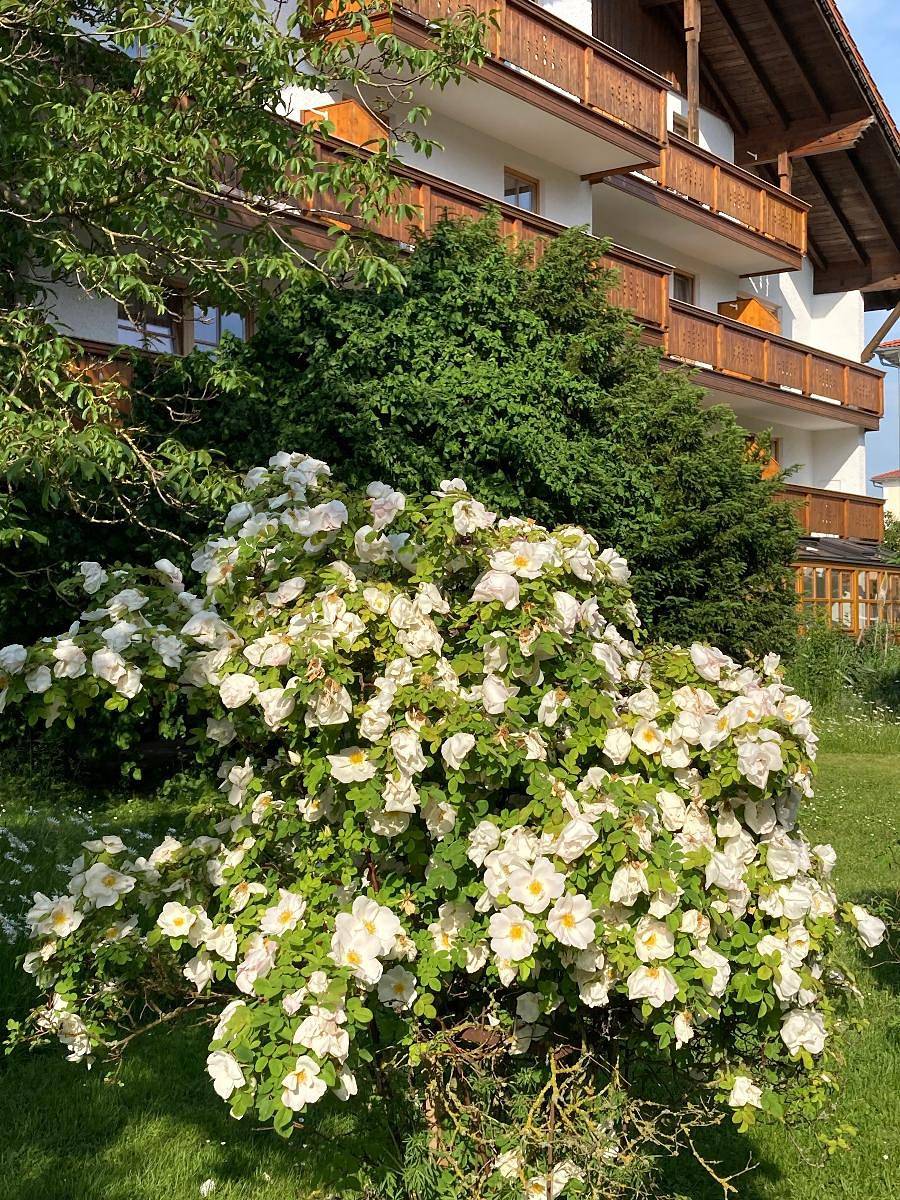 Haus Maria - Einzelzimmer in Bad Füssing, Bayerische Golf und Thermenland