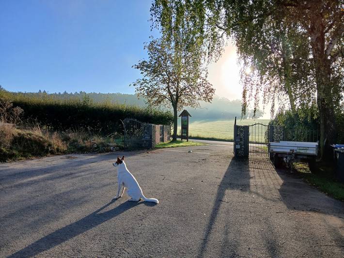 Ferienhaus für 3 Personen, mit Garten in Rheinland-Pfalz - 3