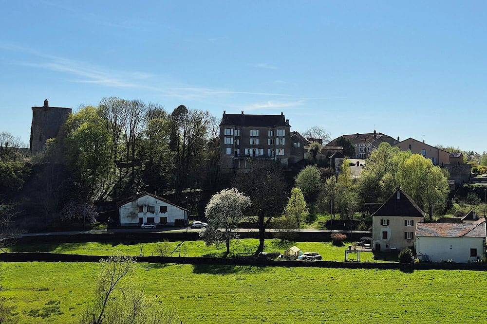Franche-Comté- Vosges du sud - Château 15 personnes, 7 chambres, 1 Dsb,1Sdd in Passavent-Corre-Jonvelle, Haute-Saône