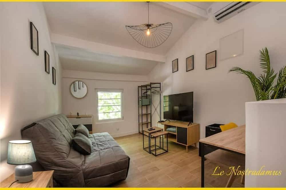 Entire apartment, Le Nostradamus - Magnificent downtown apartment with parking in Salon-de-Provence, Aix-en-Provence region