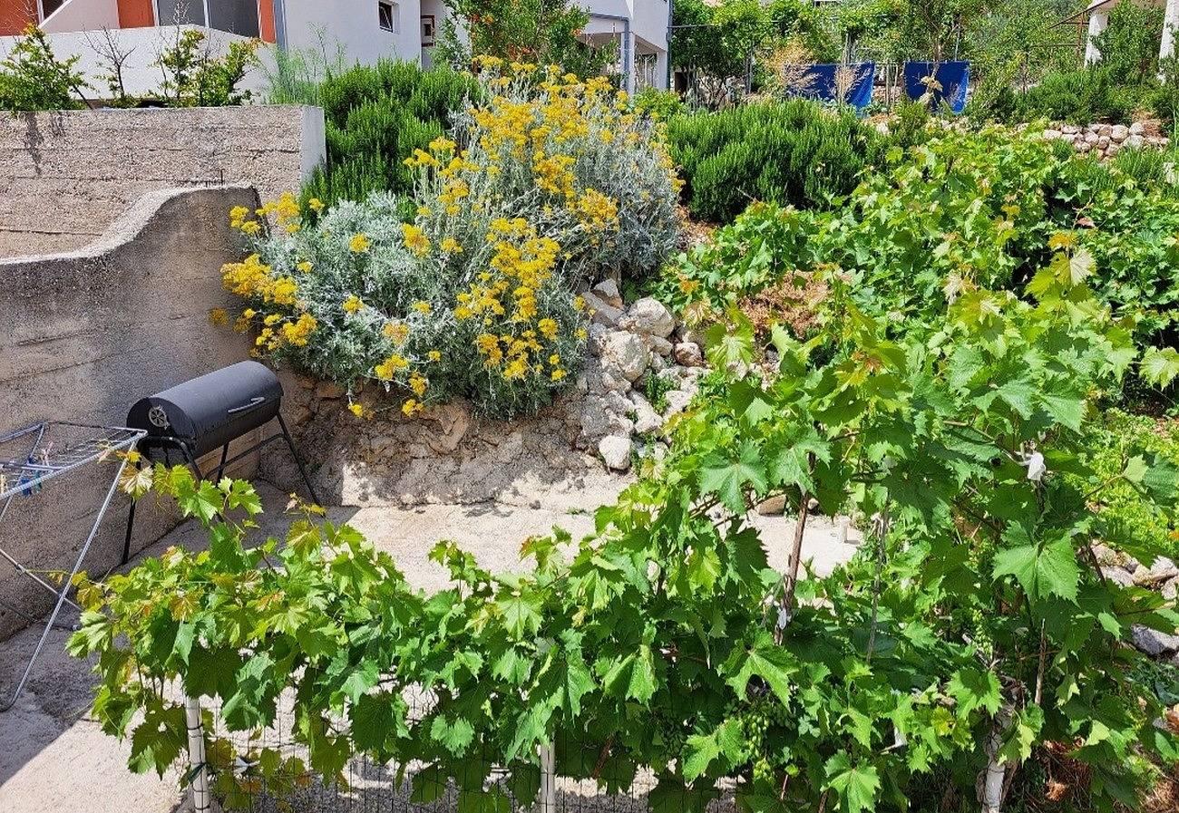 Seaside holiday house Igrane, Makarska - 21577 in Igrane, Makarska Riviera