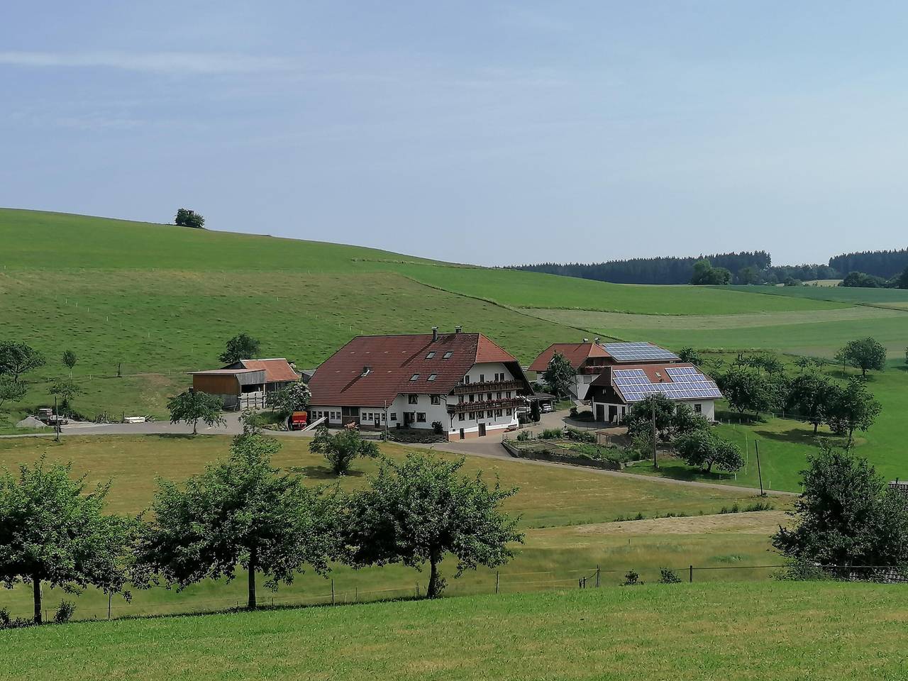 Stockerhof - Ferienwohnung Bergwiese, 75qm, 2 Schlafzimmer, Wohn-/Schlafzimmer, Terrasse, max. 5 Personen in Elzach, Selva Negra Central