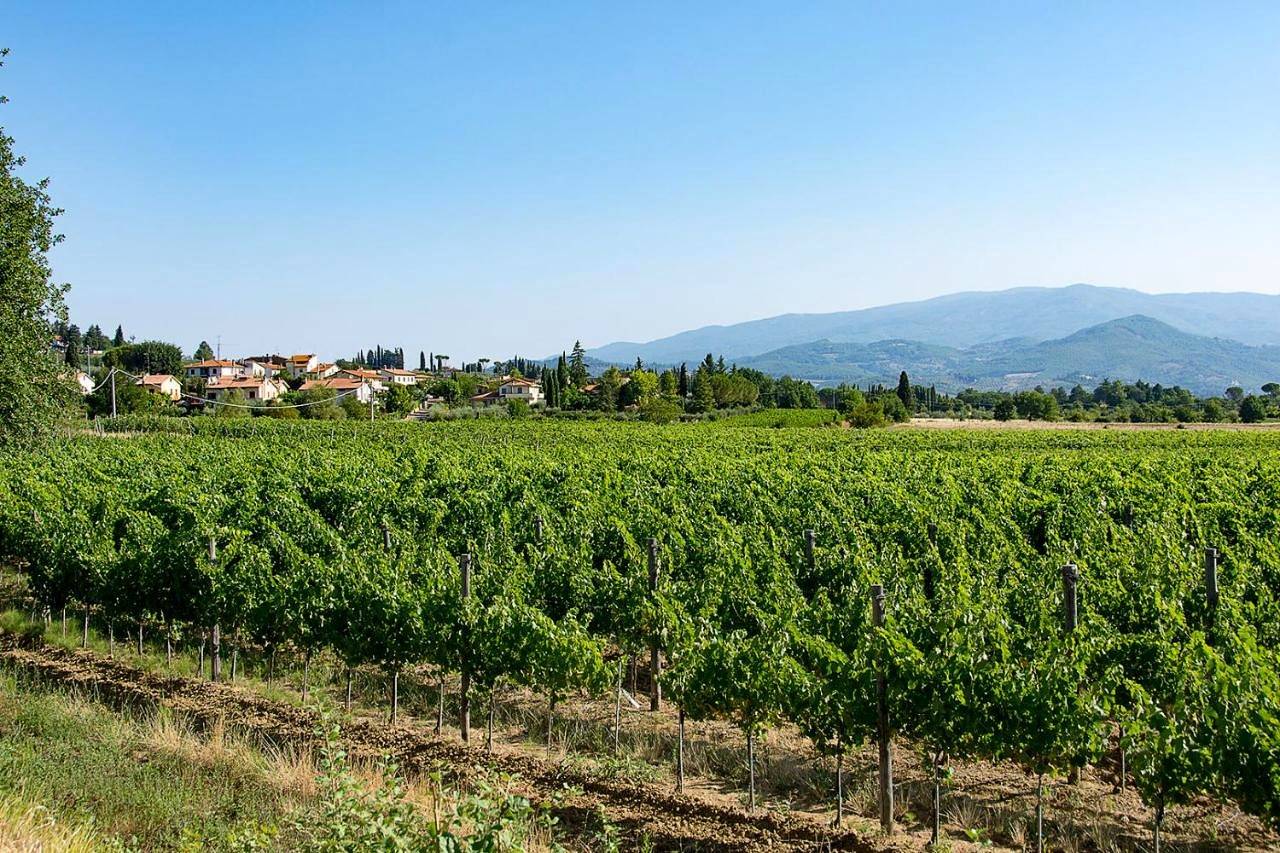 Geheel appartement, Agriturismo Albergotti in Arezzo, Provincie Arezzo