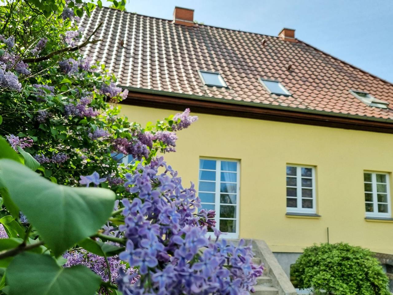 Ganze Ferienwohnung, Gutshaus Neu Necheln - Ferienwohnung in Brüel, Ludwigslust-Parchim