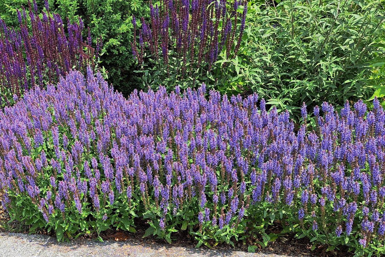 Ferien im Kühbergstadl - Ferienhaus Kühbergstadl in Bischofsmais, Baviera Oriental