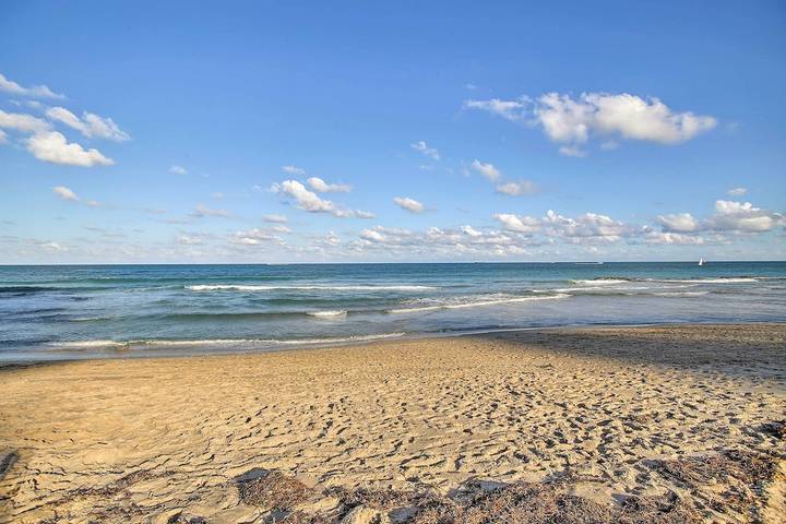 Vacation rental for 9 people, with terrace and yard, with pets in Riviera Beach