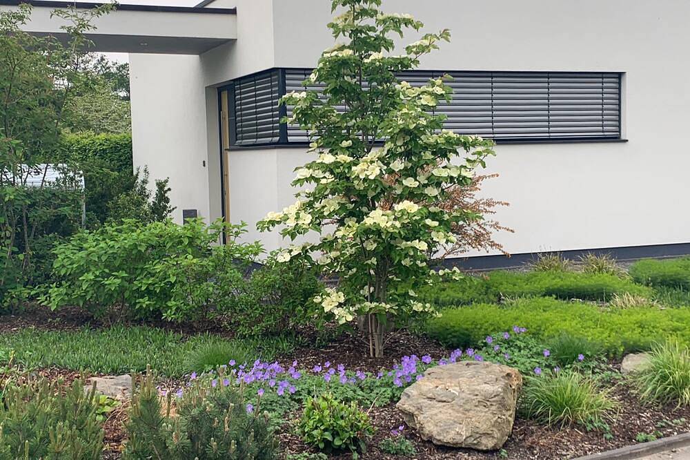 Take a \"time out\" - cottage break in Kranenburg, Lower Rhine