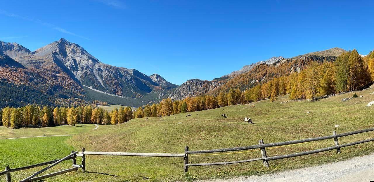 Gebettet in den Wiesen - Ein alpines Paradies in Val Müstair, Unterengadin