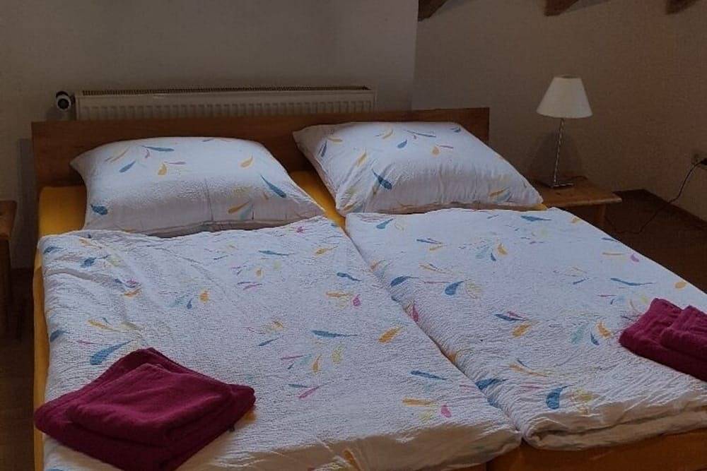 Ganze Wohnung, Exklusive Ferienwohnung mit traumhafter Bergsicht in Achberg, Region Bodensee-Oberschwaben