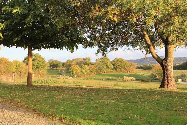 Chambre d’hôte pour 5 personnes dans les Pays de la Loire - 3