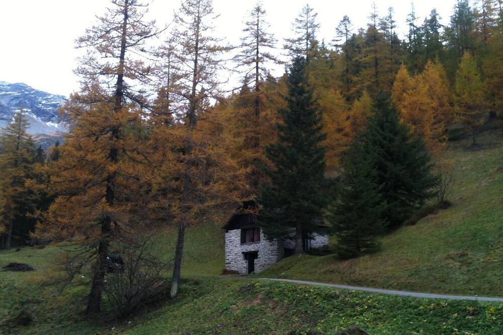 \"Rustico Bersacola in Bosco/Gurin, Tessiner Alpen