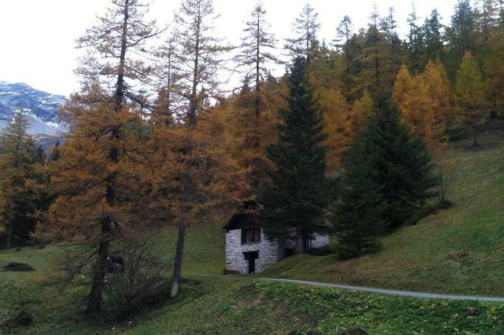 \"Rustico Bersacola in Bosco/Gurin, Tessiner Alpen