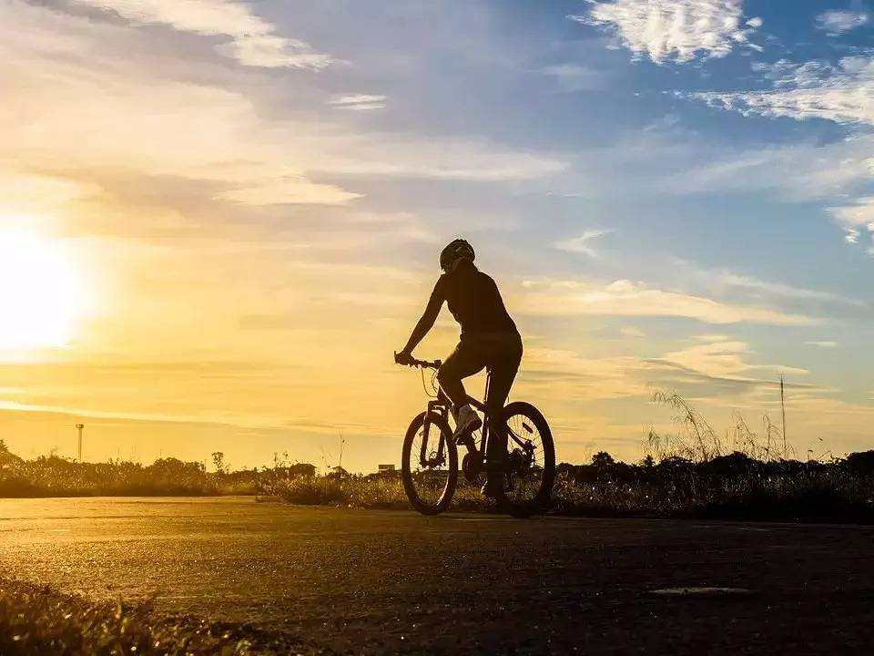 Lodge Comfort Maxi Haustiere erlaubt 4 Personen in Cecina, Etruskische Küste