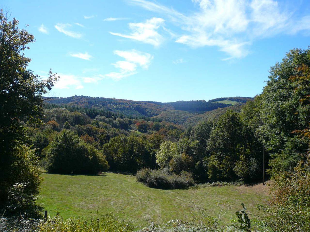 Vinelle in Fontrieu, Lacaune region
