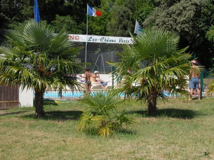 Camping Les Chênes Verts - Mobilhome 4 personnes - TV in Meschers-sur-Gironde, Région de Rochefort