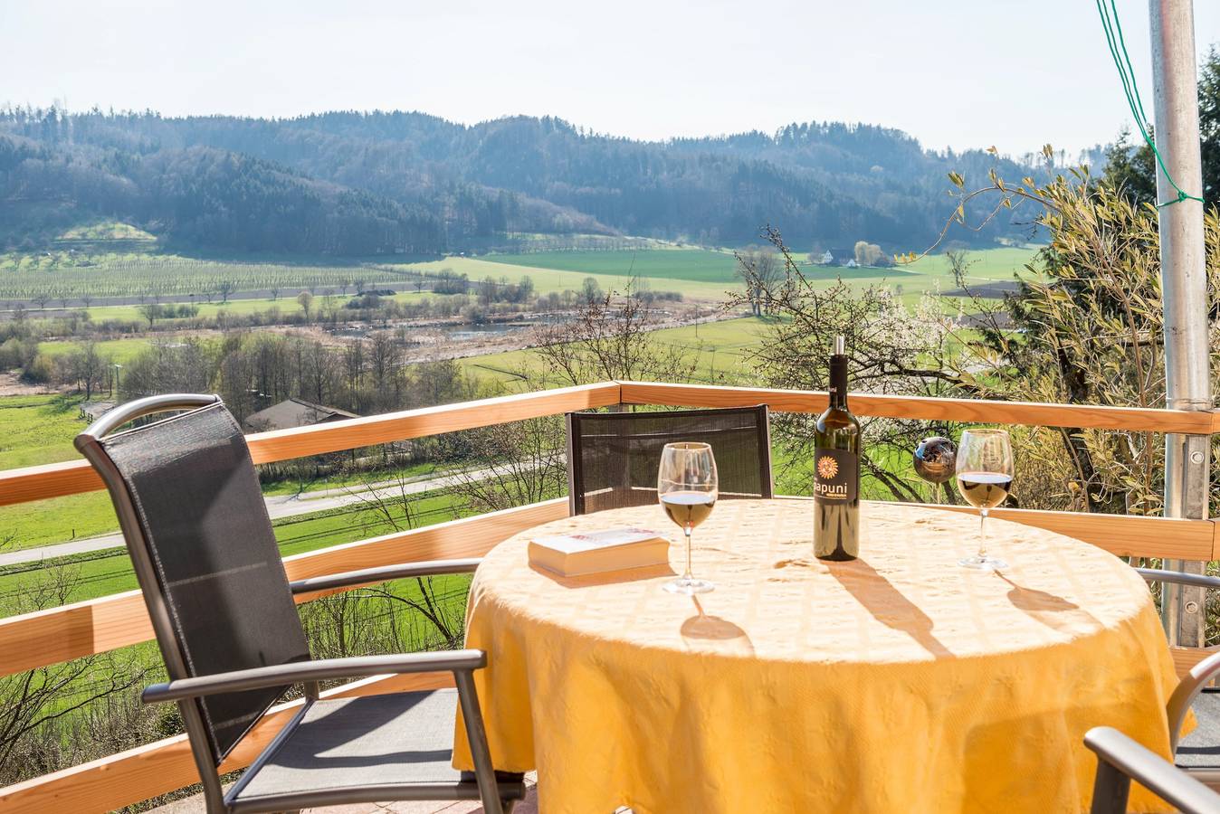 Ganze Wohnung, Ferienwohnung 'Ferienparadies Bodensee Fewo2' mit Bergblick, Gemeinschaftspool und Wlan in Billafingen, Owingen