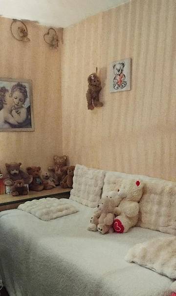 Location de vacances pour 3 personnes, avec vue ainsi que jardin et piscine à Buhl