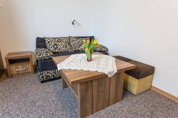 Apartamenty i Pokoje Gościnne Dziedzic Józef in Suche, Karpaty (Polska)