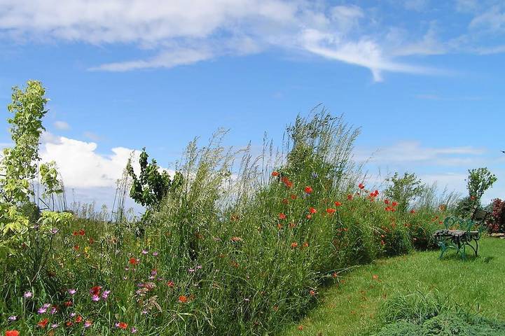 Bauernhof für 2 Personen in Tönning - 4