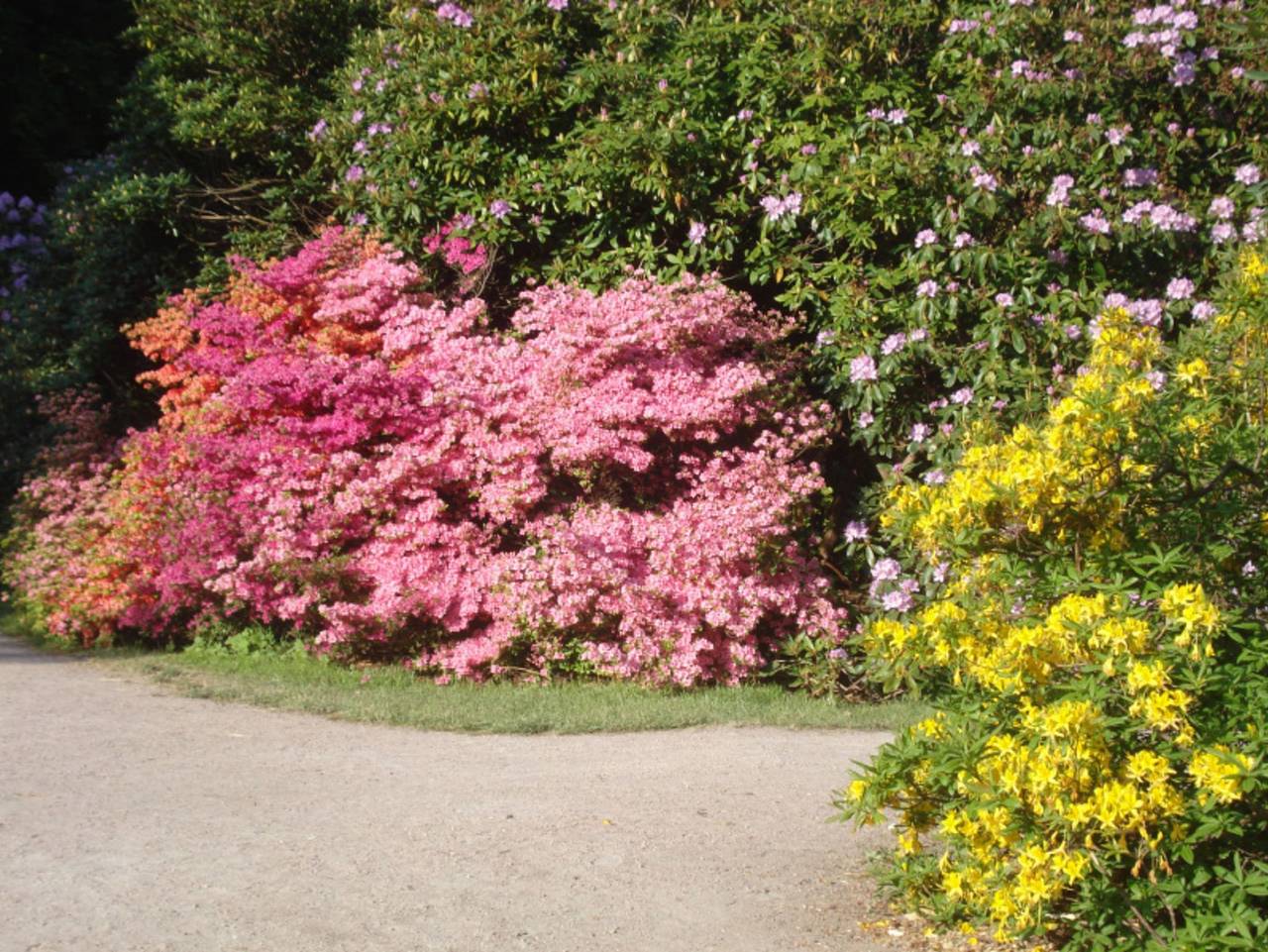 Ganze Ferienwohnung, Fewo Neptun im Erdgeschoss - nahe dem Rathaus - Ferienwohnung Neptun im Erdgeschoss - nahe dem Rathaus in Graal-Müritz, Rostock und Umgebung