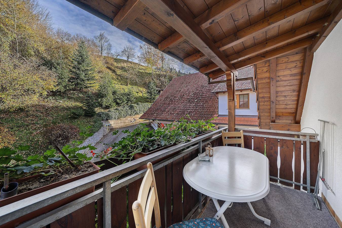 Ganze Wohnung, Ferienwohnung 'Hirschblick' mit Bergblick, Gemeinschaftsterrasse und Wi-Fi in Haslach im Kinzigtal, Kinzigtal