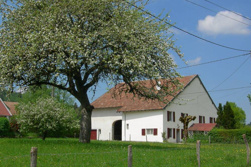 Charmante Maison Comtoise ,spacieuse,  grand jardin , parking privé in Bourg-de-Sirod, Jura Francais