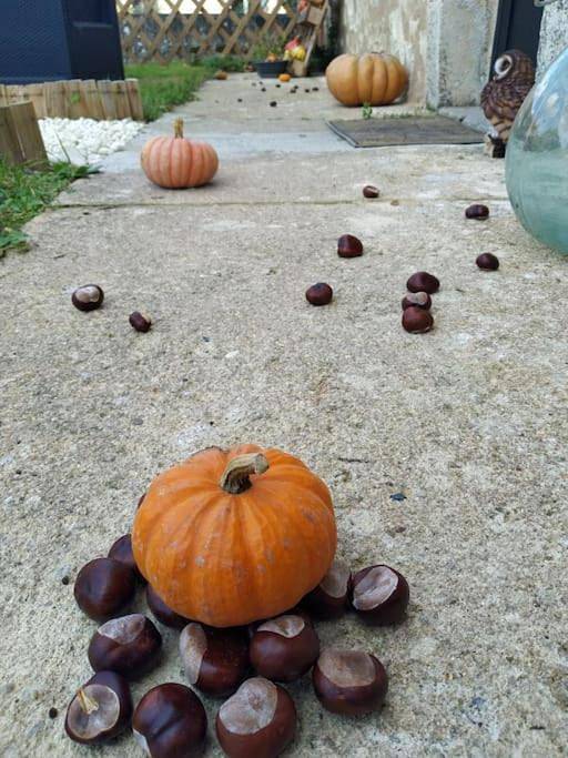 Location de vacances pour 5 personnes, avec jardin et terrasse, adapté aux familles à Chitray - 2