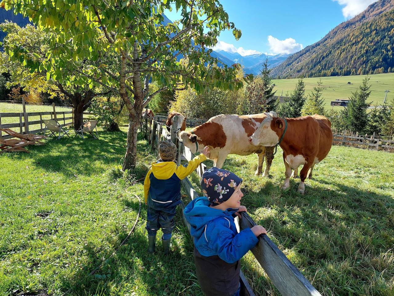 Bergerhof - Michael Gratz - Schönleitenspitz ab 4 Nächte in Kals am Großglockner, Osttirol