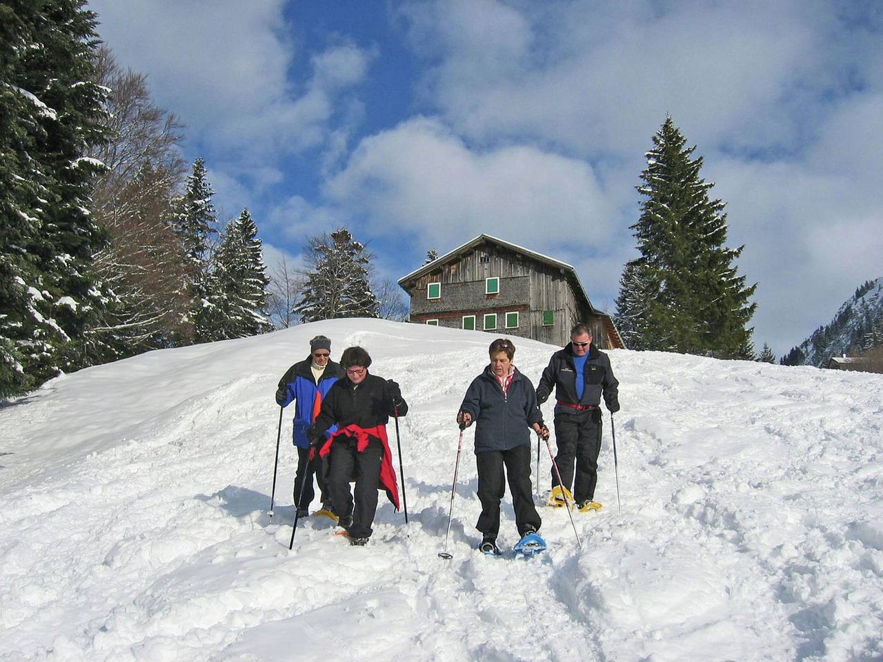 Chalet in Vorarlberg near Ski Slopes in Bodensee-Vorarlberg