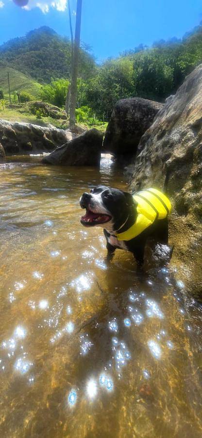 Casas e apartamentos de temporada para 2 pessoas, com piscina e jardim e ainda vista and vista para o lago em Cachoeiras de Macacu