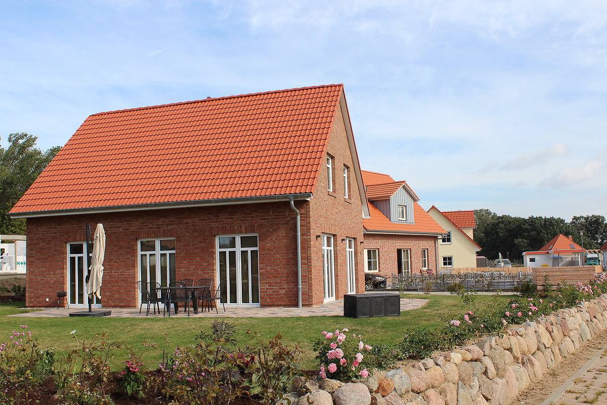 Strandrose in Rerik, Neubukow-Salzhaff