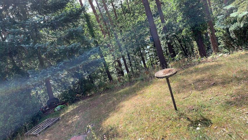 Ferienhaus für 3 Personen, mit Garten und Seeblick in Niederlausitz - 3