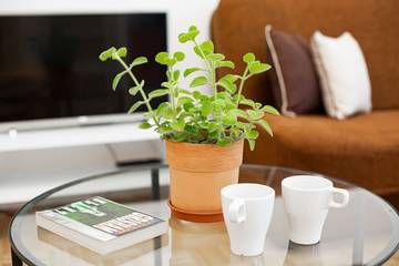 Studio für 4 Personen in Warschau, Masowien, Bild 1