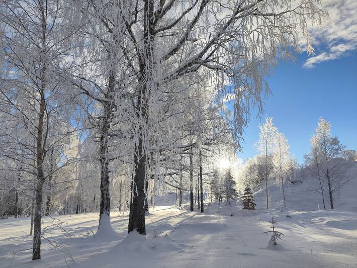 Ferienhaus für 4 Personen, mit Garten und Seeblick sowie Ausblick, mit Haustier in Dalarna - 4