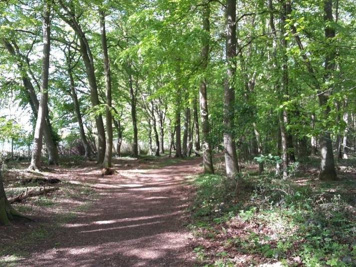Bungalow für 2 Personen, mit Sauna und Garten in Kellenhusen - 4