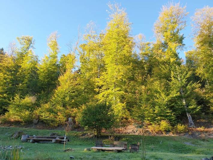 Location de vacances pour 12 personnes, avec jardin et vue à Seyne-les-Alpes - 3