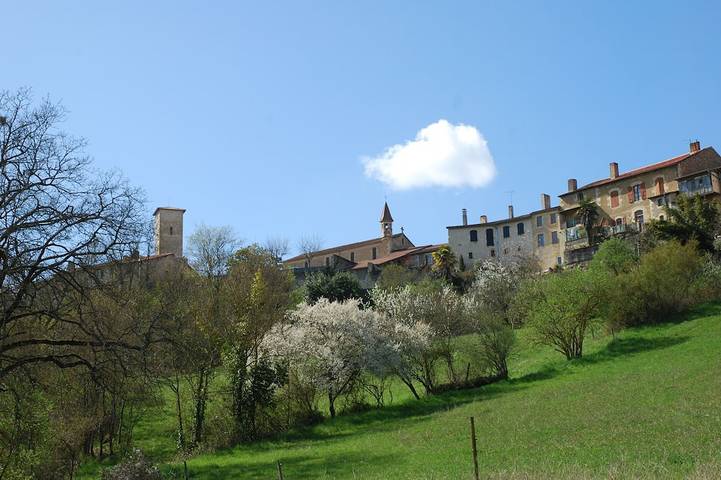 Country cottage in the Gers, Les Écrehous Park and Swimming Pool in Riguepeu, Gers
