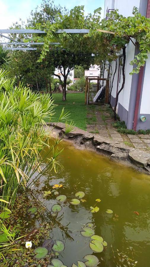 Three-Bedroom House in Vila de Rei, Distrito de Castelo Branco