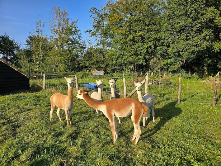 Location de vacances pour 4 personnes, avec vue ainsi que terrasse et jardin, animaux acceptés dans Longfaye - 4