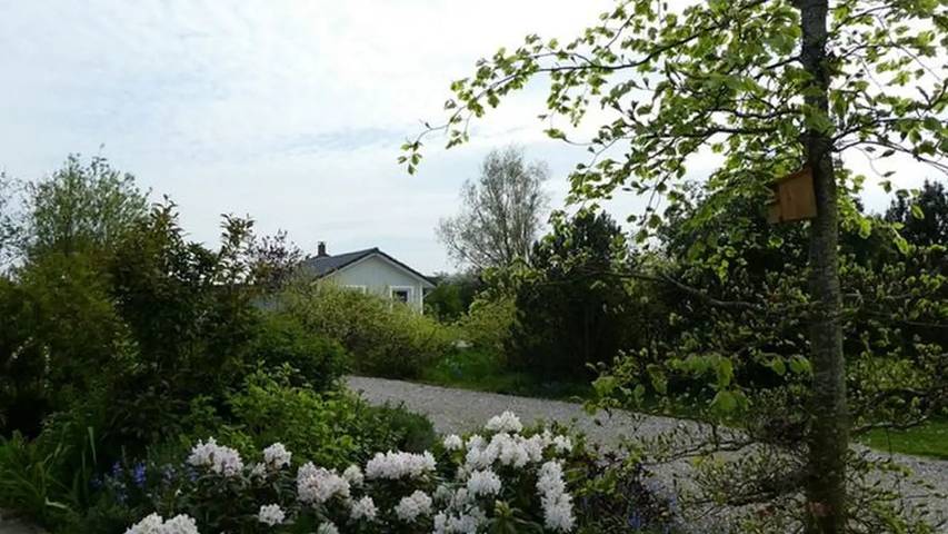 Ferienhaus für 4 Personen, mit Garten und Terrasse in Olpenitzdorf - 2