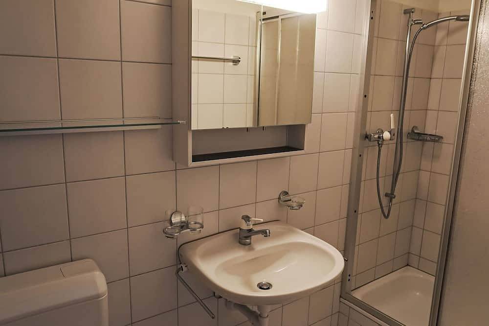 Ganze Wohnung, Herrliche Wohnung für 5 Personen mit  W-Lan, Tv, Balkon und Panoramablick in Disentis, Surselva