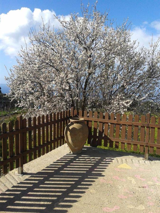 Lodge für 4 Personen, mit Ausblick und Garten sowie Seeblick, mit Haustier auf den Liparische Inseln - 2