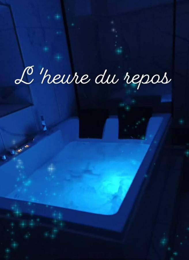 Gîte pour 3 personnes, avec jardin et vue, animaux acceptés à Montargis - 3