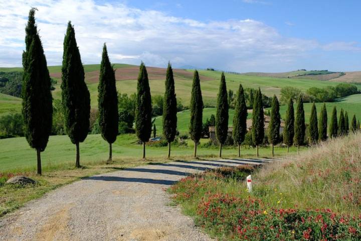 Villa 'La Memoria Del Tempo' met privézwembad, wifi en airconditioning in San Giovanni d'Asso, Montalcino