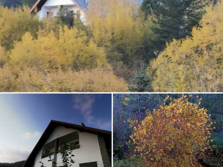 Appartamento per 3 persone, con Balcone e Terrazza nonché Giardino e Panorama a Borzonasca