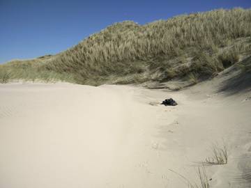 Ferieudlejning til 8 Personer i Blokhus, Vesterhavet, Billede 4